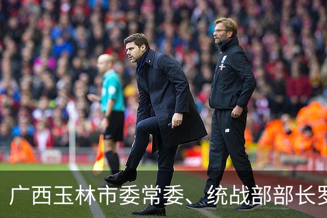 广西玉林市委常委、统战部部长罗莉简历