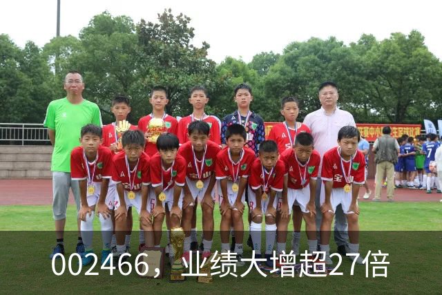 002466，业绩大增超27倍